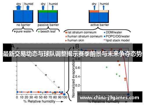 最新交易动态与球队调整揭示赛季前景与未来争夺态势