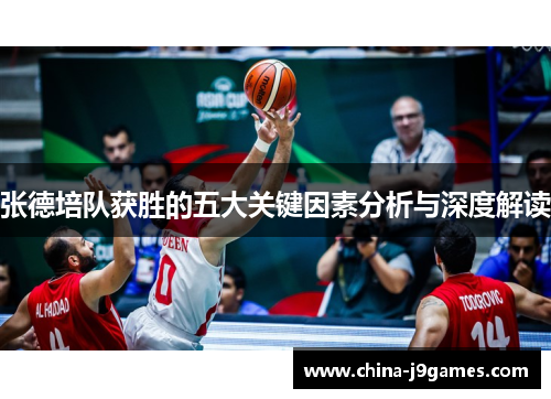 张德培队获胜的五大关键因素分析与深度解读